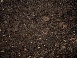 Характеристики почвогрунта